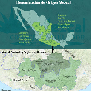 Terroir and the D.O.
