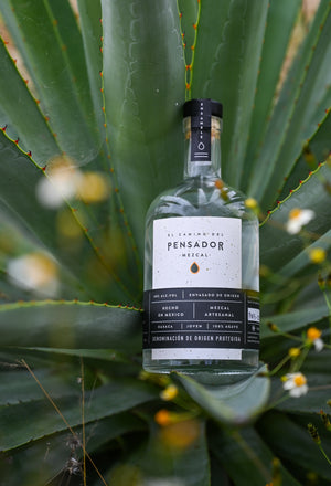 PENSADOR ENSAMBLE BATCH AN7 - ESPADÍN & MADRECUISHE - 50CL